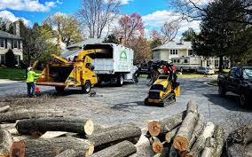 Best Lawn Mowing  in Woodstock, VA